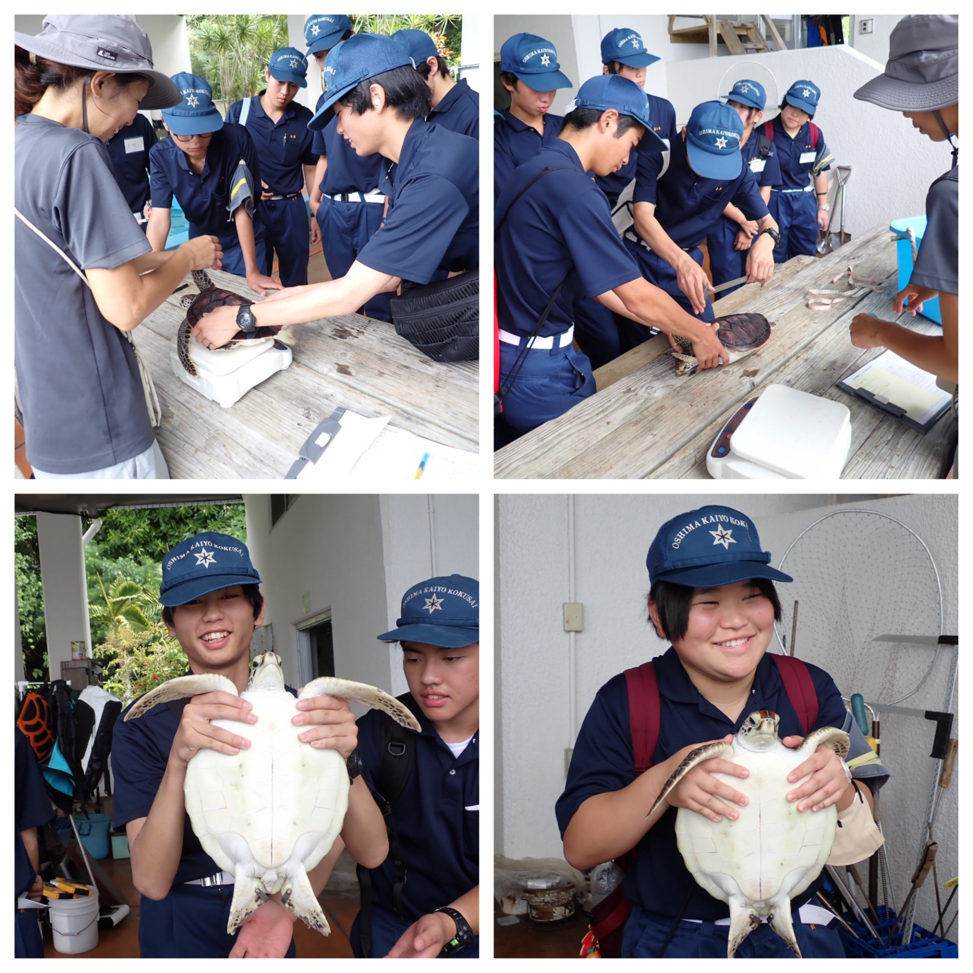 Blank 4 Grids Collage (37)